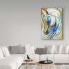 Trademark Fine Art Marcia Baldwin 'Arabian Abstract' Canvas Art, 30x47 ALI34658-C3047GG